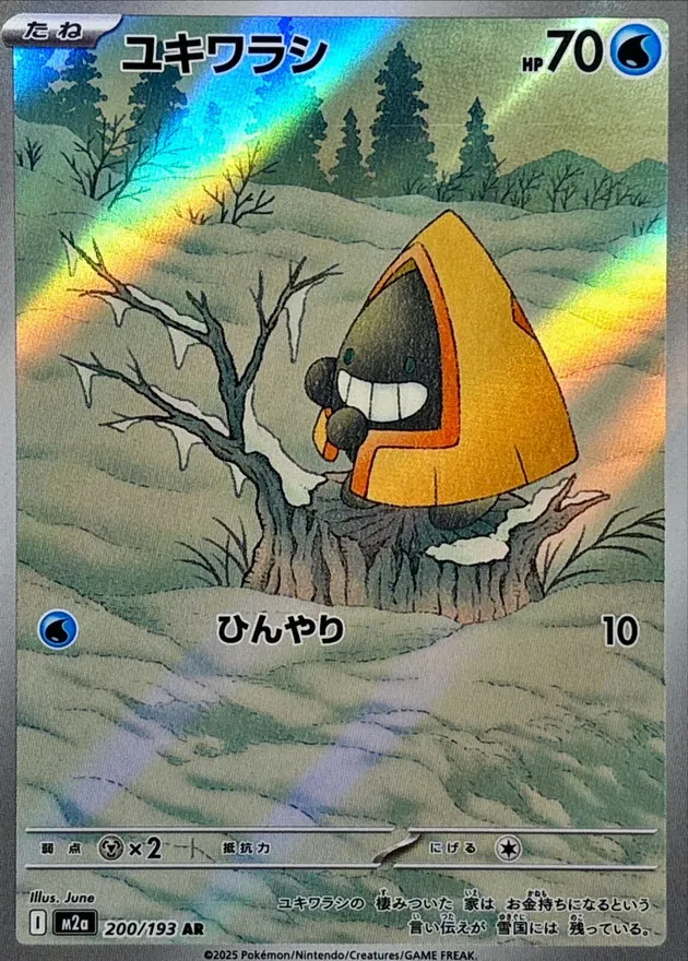 ユキワラシ　AR